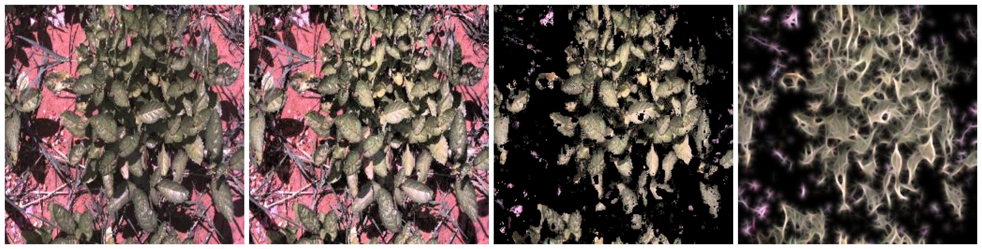 weed-image-processing